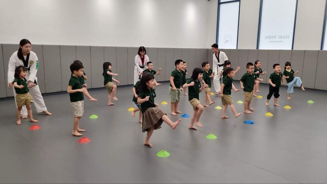 lĩnh vực hoạt động